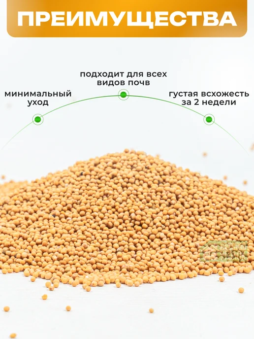 ЗЕЛЕНЫЙ УГОЛОК Семена Горчица 1 кг, 1 кг, фото 4