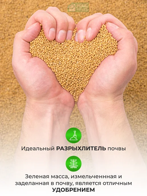 ЗЕЛЕНЫЙ УГОЛОК Семена Горчица 1 кг, 1 кг, фото 5