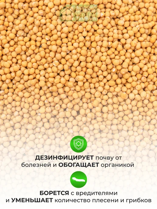 ЗЕЛЕНЫЙ УГОЛОК Семена Горчица 1 кг, 1 кг, фото 6
