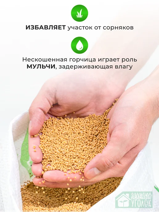 ЗЕЛЕНЫЙ УГОЛОК Семена Горчица 1 кг, 1 кг, фото 7