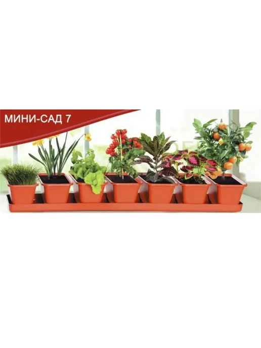 Darel Набор для выращивания мини-сада, 21 горшок на 3х поддонах, 21 шт, фото 2
