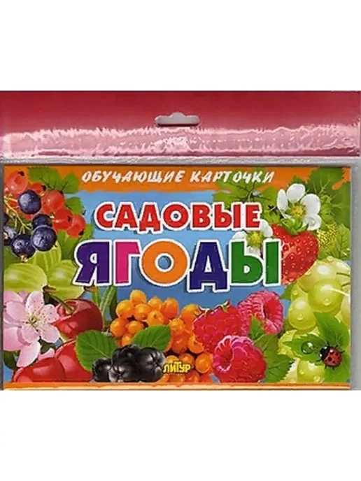 ЛитУр Обучающие карточки. Садовые ягоды, вариант