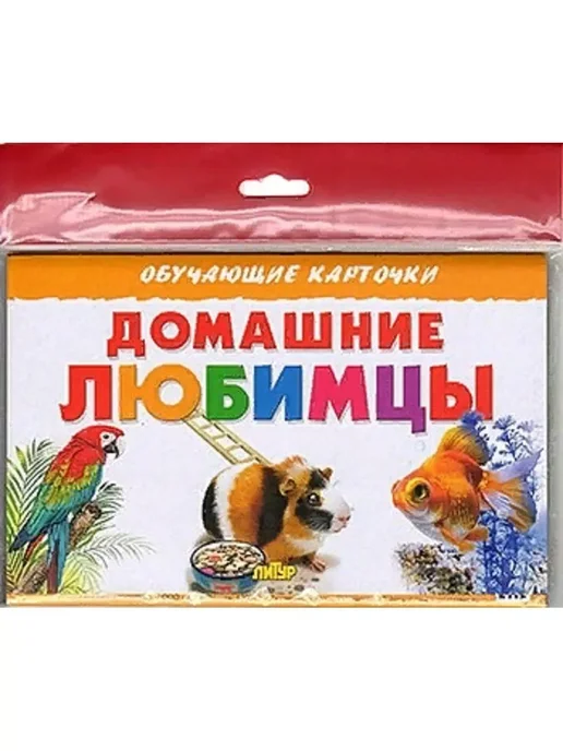 ЛитУр Обучающие карточки. Домашние любимцы, вариант