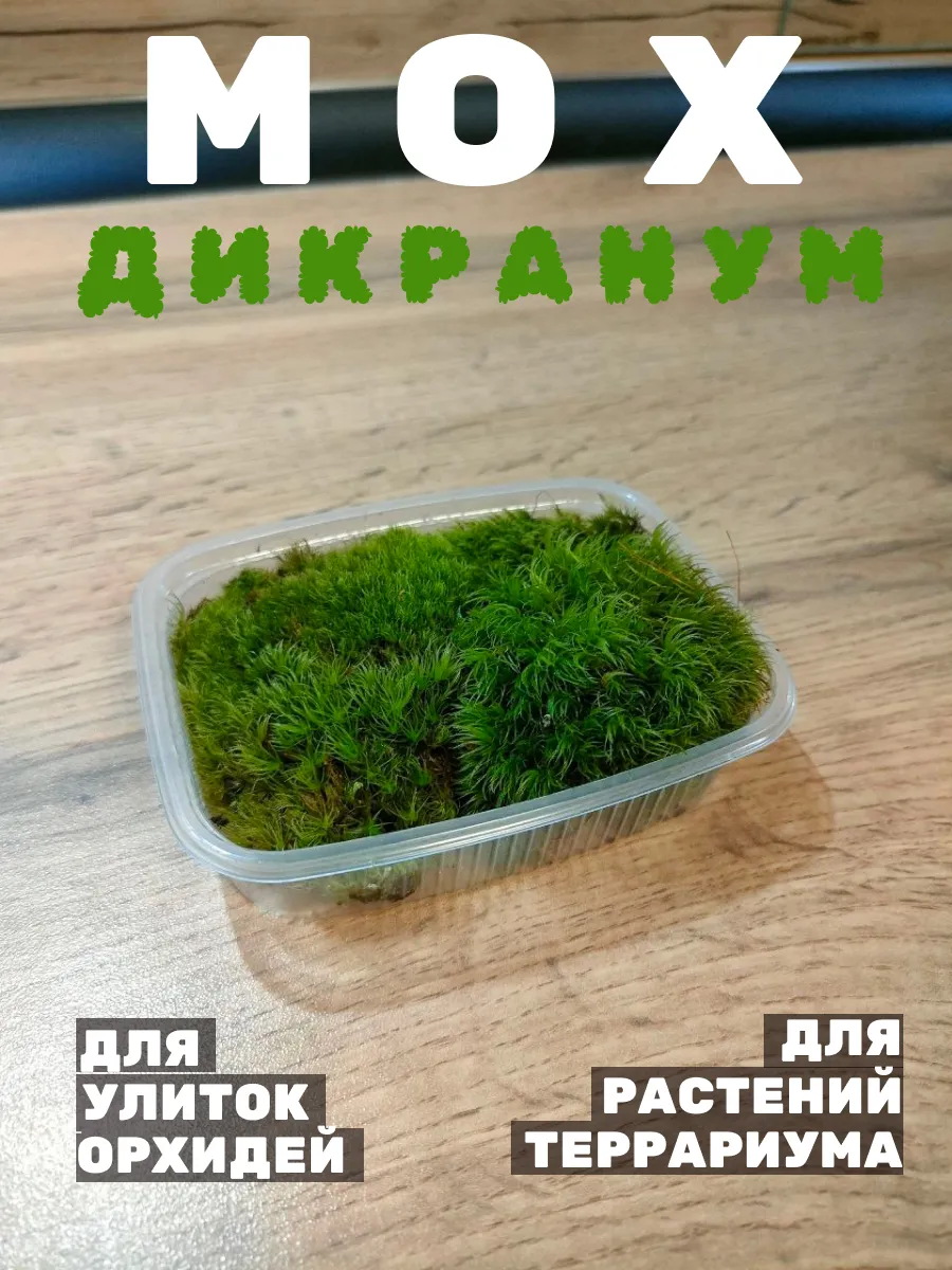 Мох дикранум для орхидей, улиток, лесной