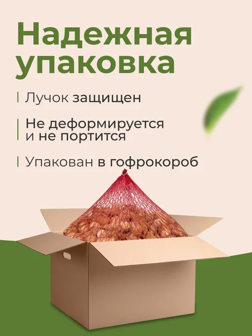 ФЕРМЕРСКИЙ ДВОРИК Лук севок на посадку Шетана 0.5 кг, 500 г, фото 2