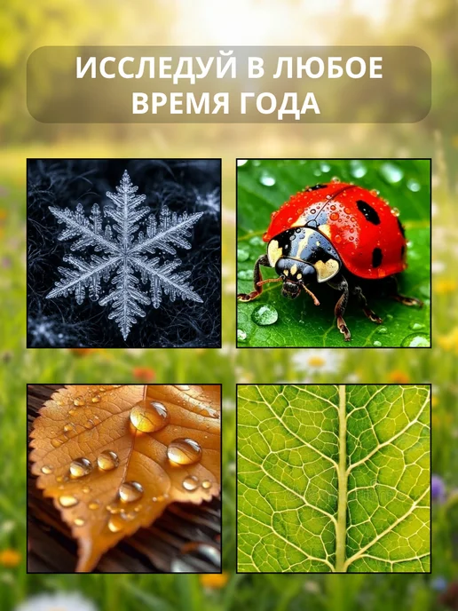 DAZLE Микроскоп детский карманный с камерой и подсветкой лупа, голубой, фото 5