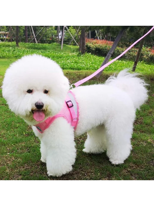 Ошейник розовый отражающий для кошек, розовый, фото 2