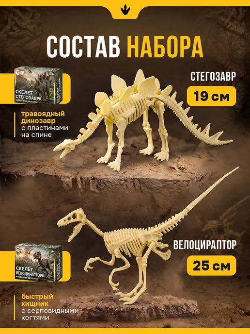 DINOHIT Раскопки динозавров для детей 5 в 1, фиолетовый, фото 8