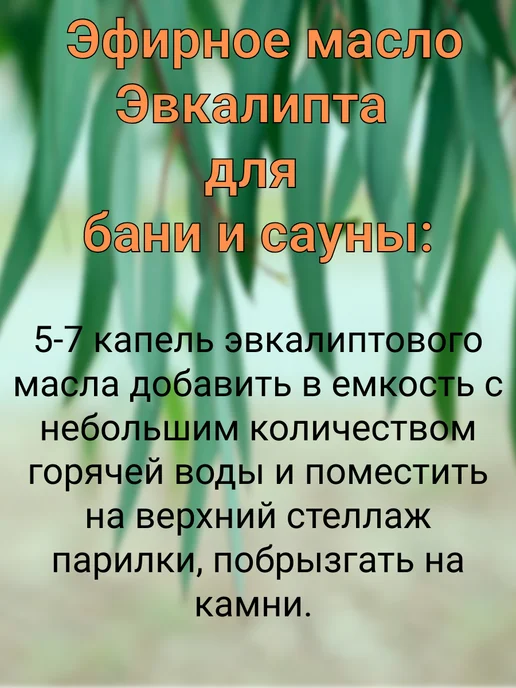 Kleiwer Эфирное масло Эвкалипт 15мл, 15 мл, фото 2