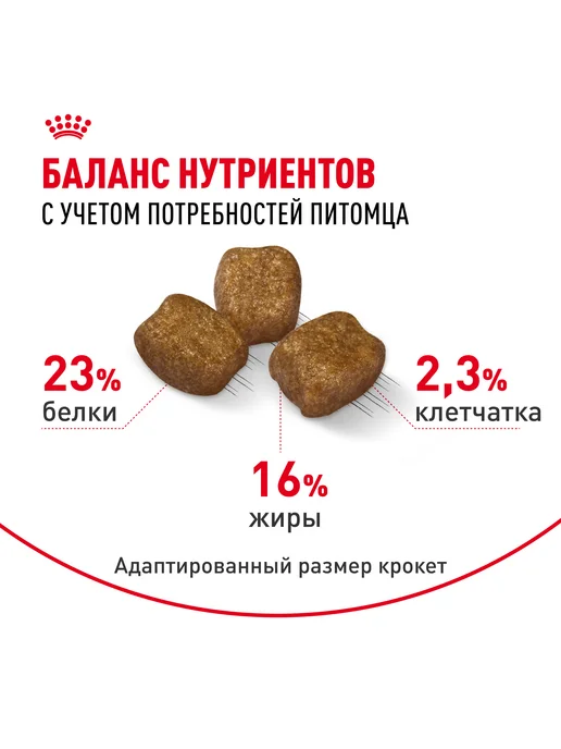 Сухой корм Royal canin Dental Сух.Корм для собак, мелкие, 3 кг, фото 2