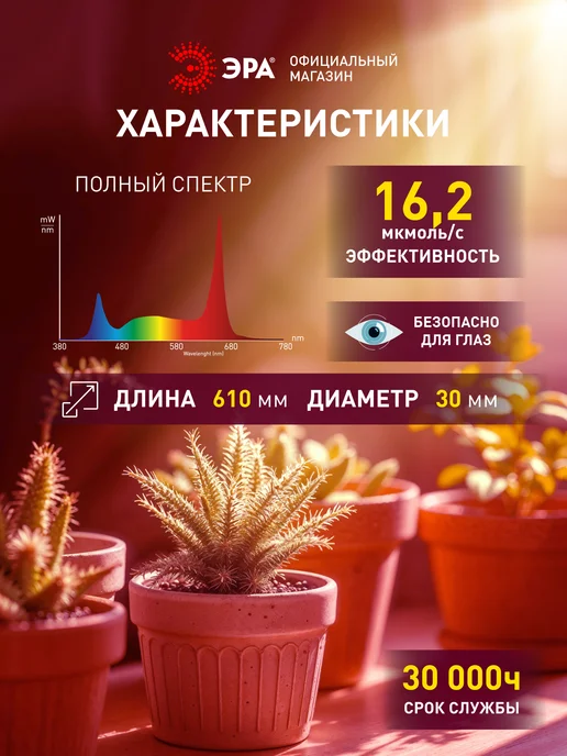 ЭРА Фитосветильник полного спектра IP65 c выключателем, вариант, фото 2