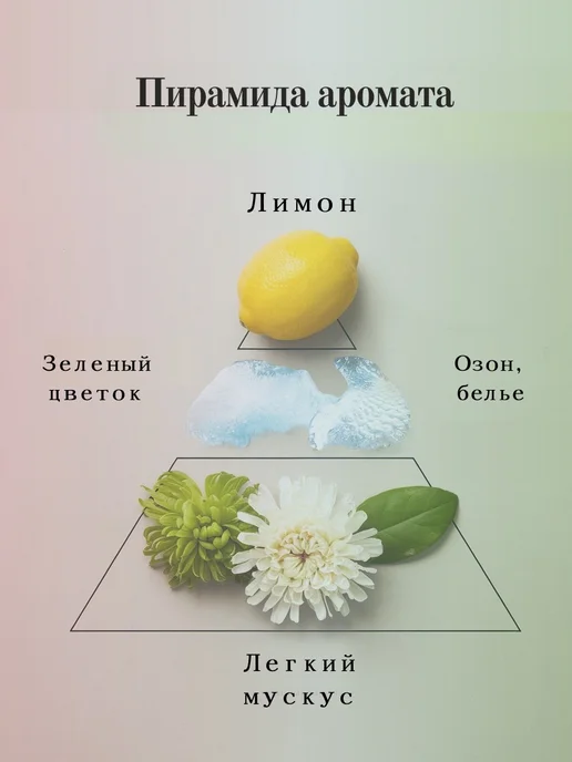 Аромасаше для шкафа и аромалампы подарочный набор 8 шт, 8 шт, фото 6