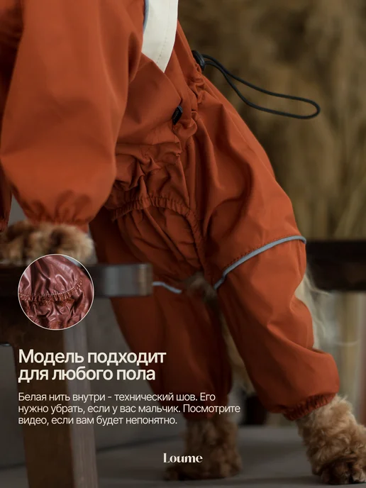 Loume Комбинезон для собак, белый, фото 4