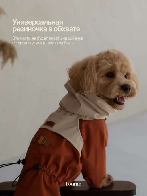 Loume Комбинезон для собак, белый, фото 7