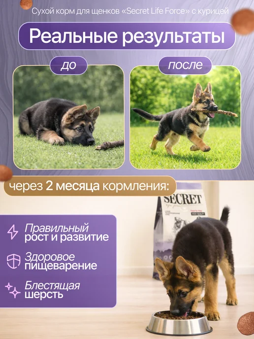 Сухой корм Secret for Pets для собак, щенки, 2 кг, фото 3