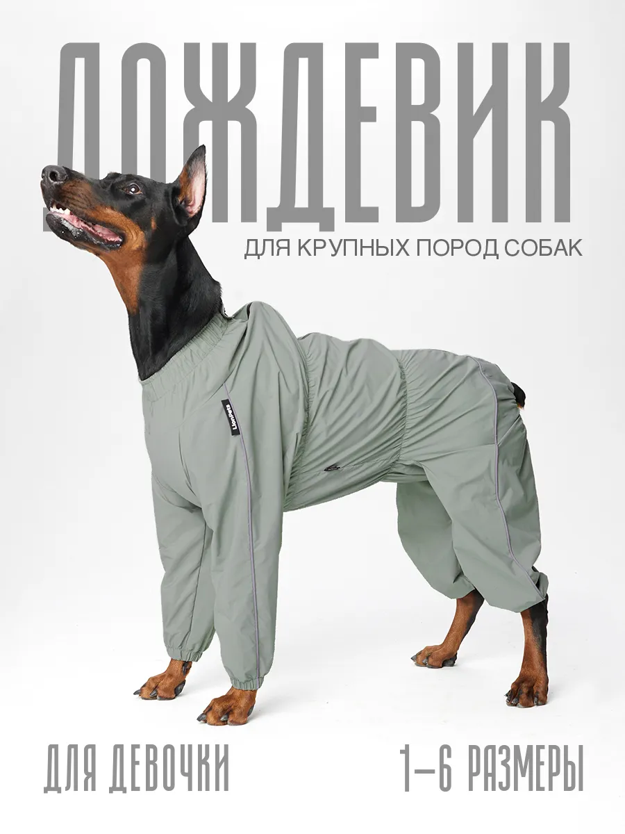 Комбинезон дождевик для собак для девочки