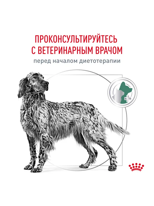 Сухой корм Royal canin Диабетик для собак, 1,5 кг, фото 6