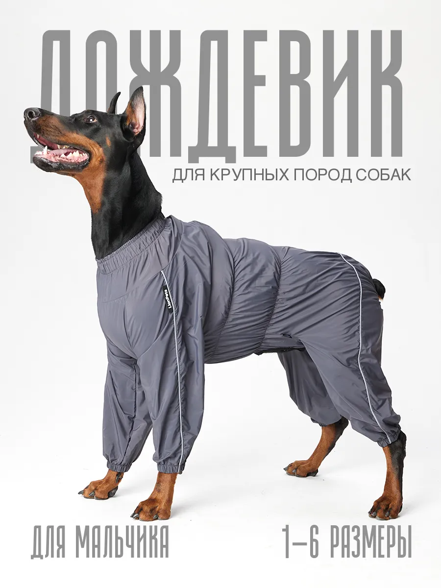 Комбинезон дождевик для собак для мальчика