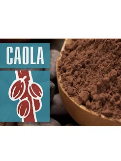 CakeDeko Какао-порошок алкализованный CAOLA, 7-10%, (100 г)