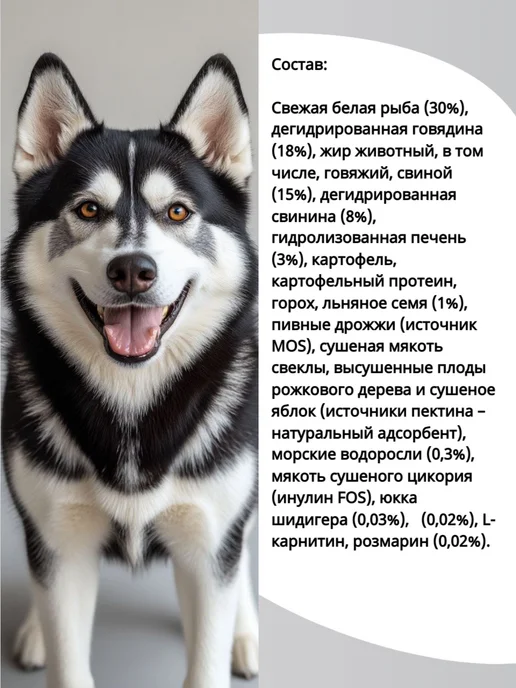 Сухой корм BLITZ Holistic для собак, 1,5 кг, фото 2