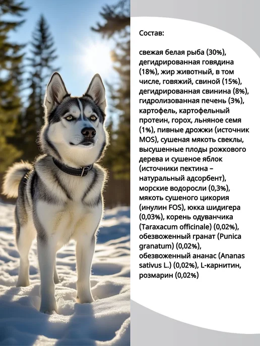 Сухой корм BLITZ Holistic для собак, 12 кг, фото 2