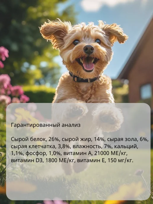 Сухой корм BLITZ Holistic для собак, мелкие, 1,5 кг, фото 3