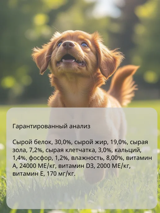 Сухой корм BLITZ Holistic для собак, щенки, 8 кг, фото 3