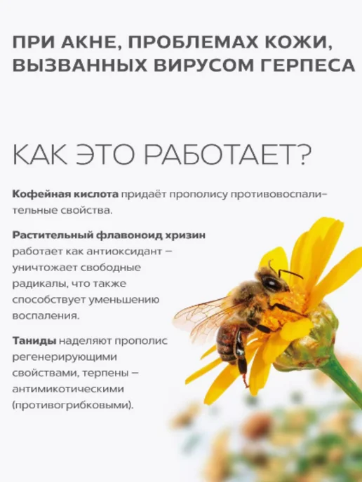 АЛТАЙСКИЙ НЕКТАР Прополис пчелиный натуральный 5 таблеток по 08 г, вариант, фото 3