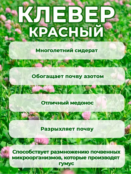 Склад Полезных Продуктов Сидерат Клевер 1 кг, 1 кг, фото 2