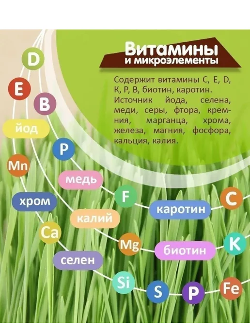 Склад Полезных Продуктов Сидерат Пшеница 10 кг, 10 кг, фото 7