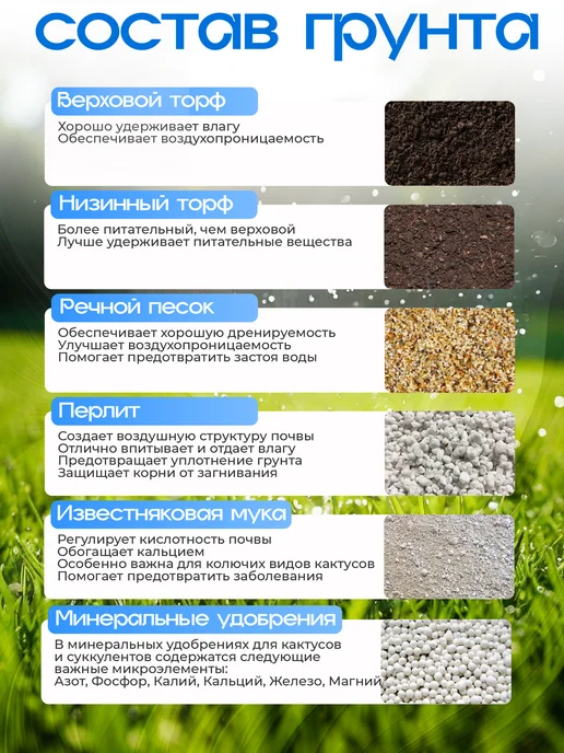 БиоМастер/Агроперлит,Перлит Грунт для кактусов и суккулентов, вариант, фото 3