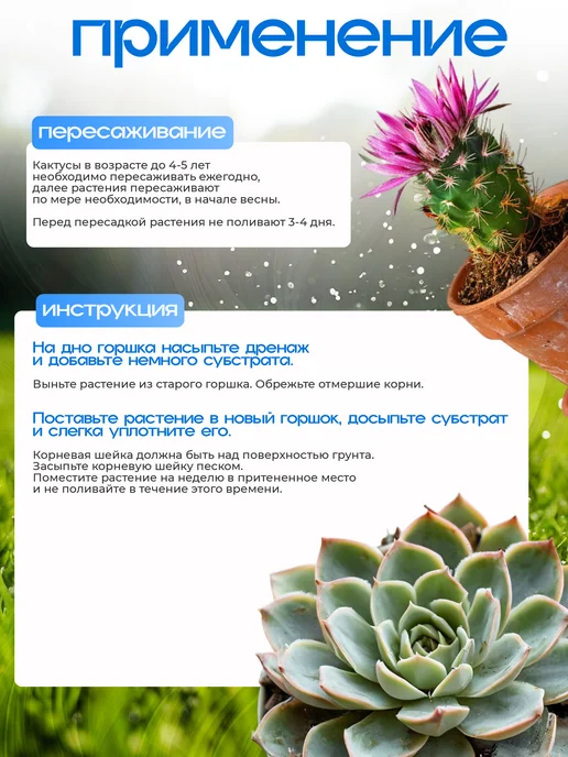 БиоМастер/Агроперлит,Перлит Грунт для кактусов и суккулентов, вариант, фото 5
