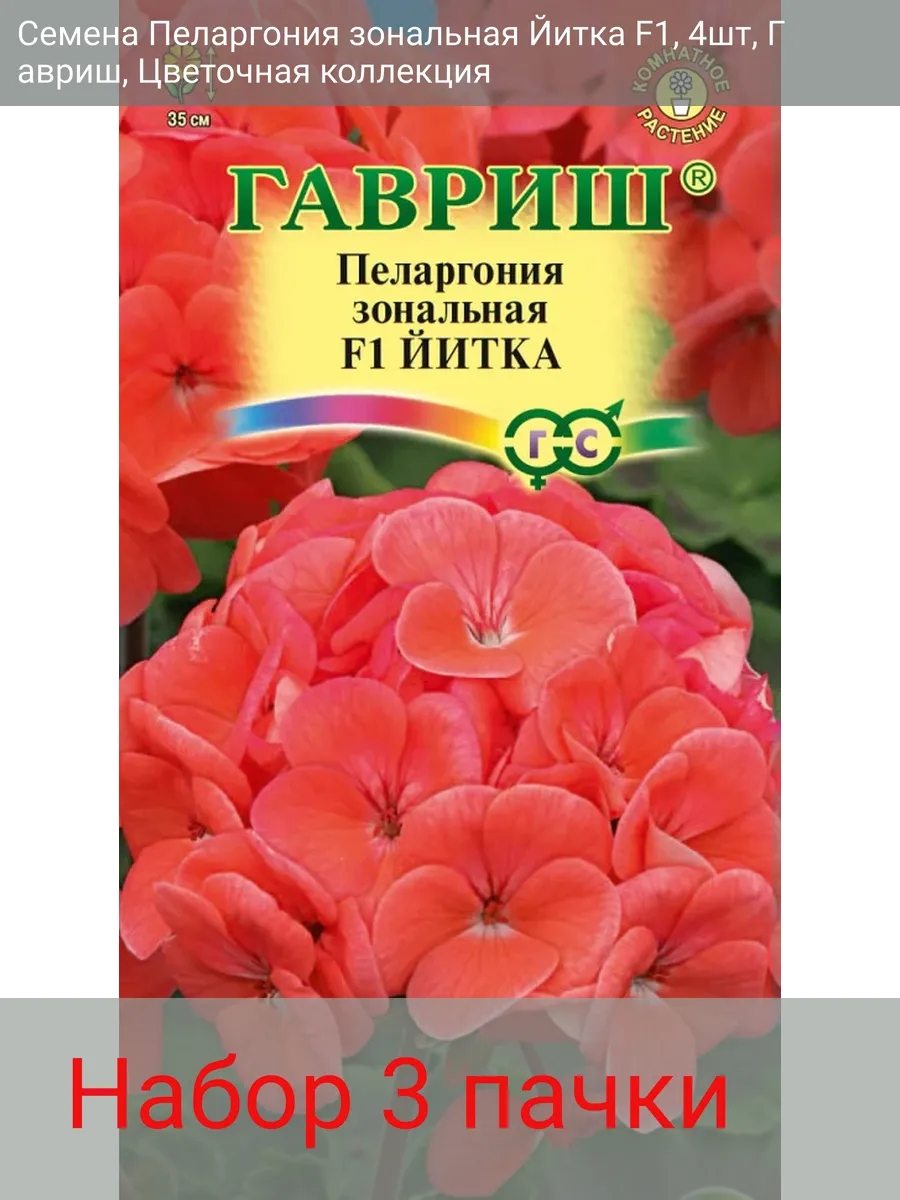 Пеларгония Зональная Купить В Горшке