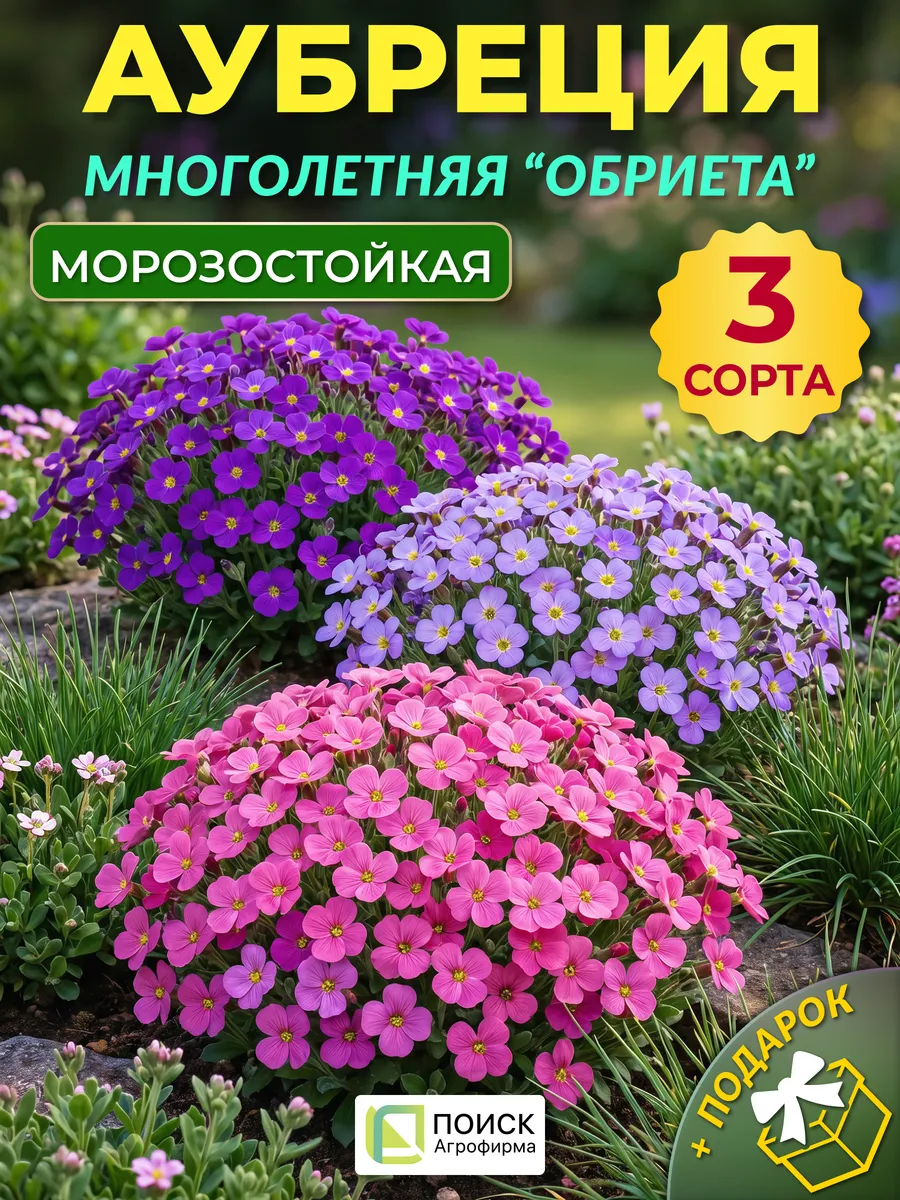 Семена аубреция многолетняя обриета