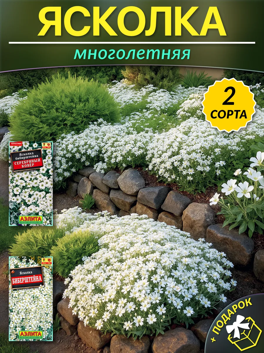 Семена ясколка многолетняя