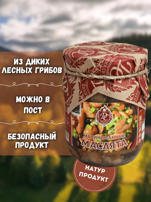 Дикий Сбор Грузди белые соленые в банке 0,35л грибы (2026г), 0,5 л, 2026 г, фото 3