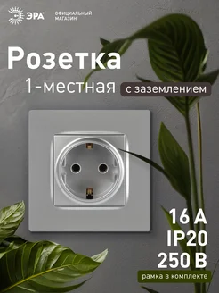 Розетка с заземлением 12 Классик алюминий ЭРА 365823672 купить за 362 ₽ в интернет‑магазине Wildberries