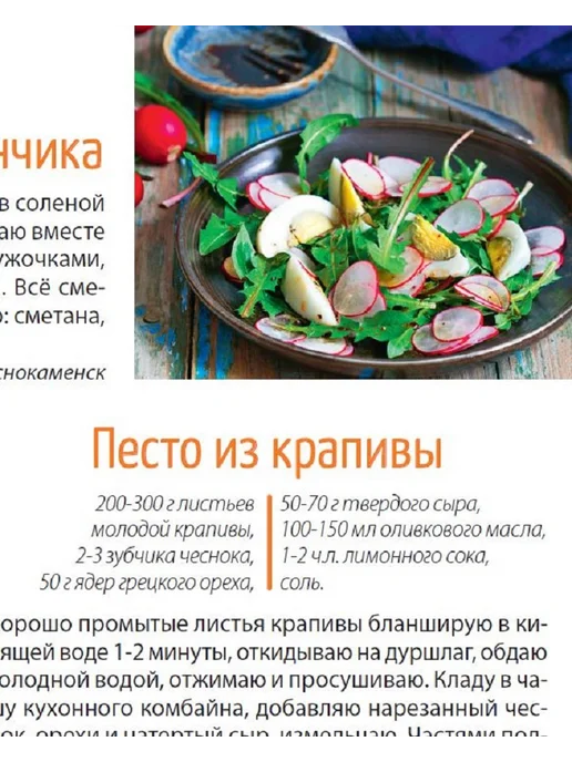 Салат Салатыч "Салат Салатыч" №3 25 книга рецептов.Закуски из черемши, вариант, фото 2