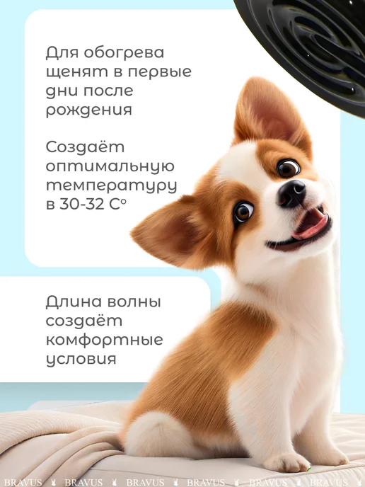 Bravus Инфракрасная лампа для обогрева и освещения 250W, цоколь E27, 50 Вт, фото 4