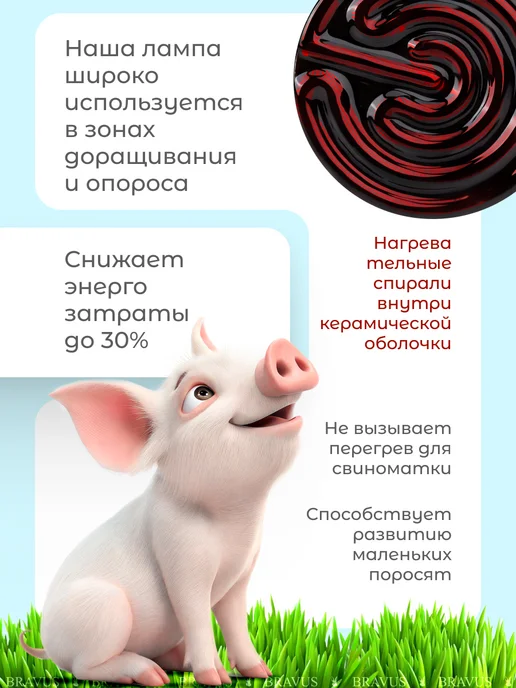 Bravus Инфракрасная лампа для обогрева и освещения 250W, цоколь E27, 50 Вт, фото 5