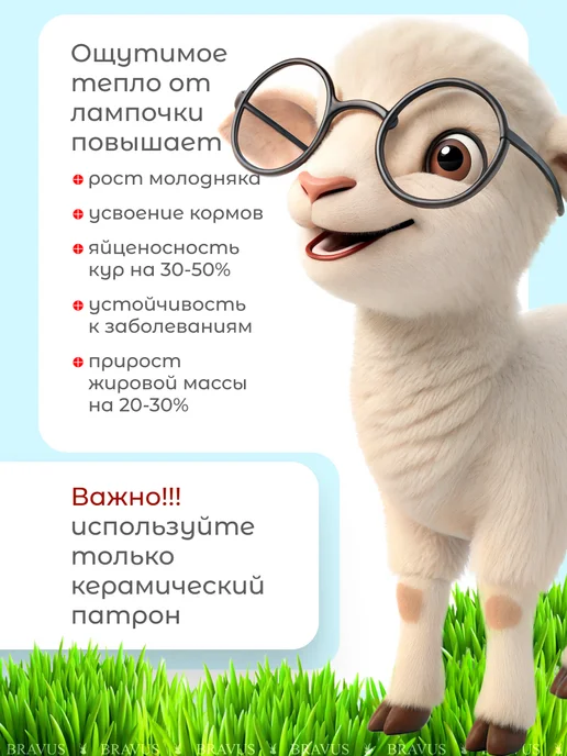 Bravus Инфракрасная керамическая лампа для обогрева 200W цоколь E27, 100 Вт, фото 7