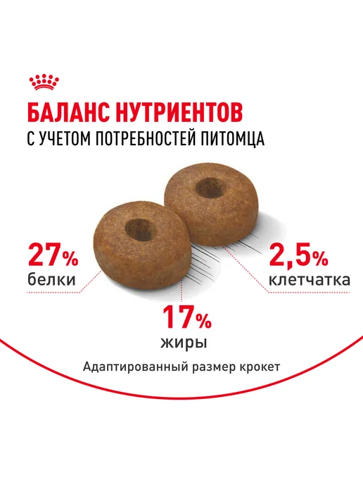 Сухой корм Royal canin Ageing Старше для собак, крупные, 3 кг, фото 2