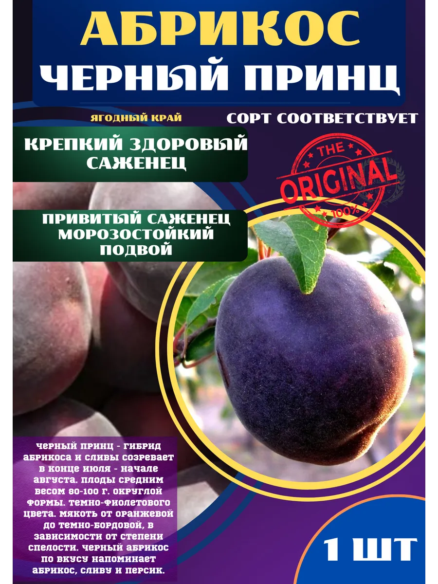 Бикини киген қыздардың суреттері