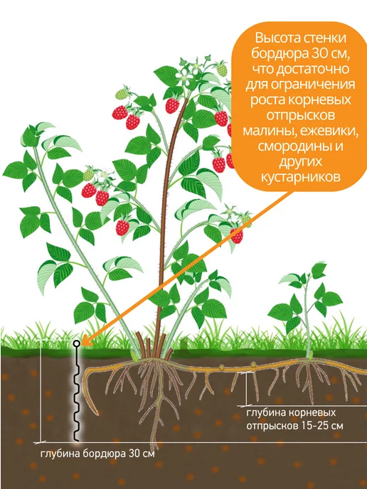 Standartpark Бордюрная лента садовая Канта Garden (Гарден), h 33 см, черный, фото 3