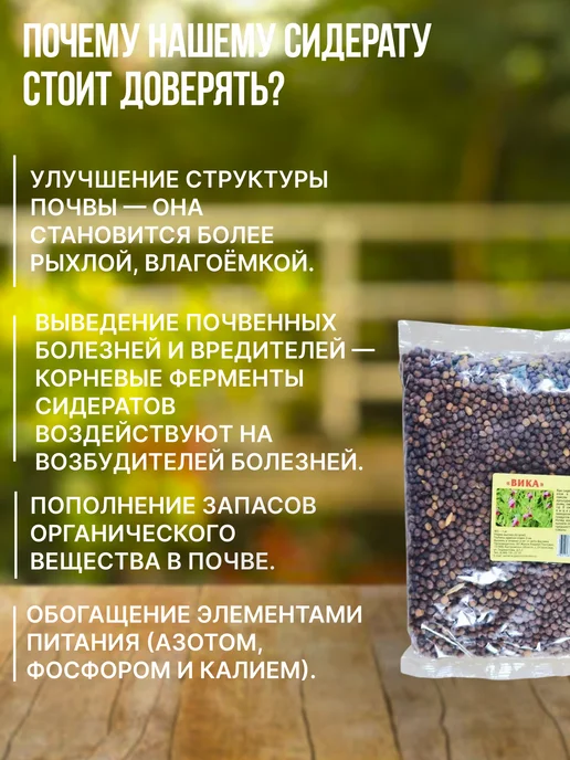 Зеленая планета Вика яровая Сидерат 0.5 кг, 1 кг, фото 3