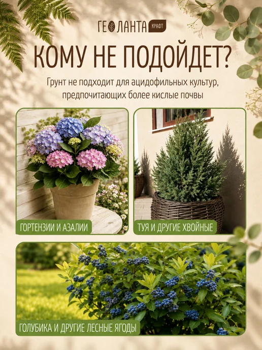 Геоланта Грунт универсальный, 60 литров, земля для цветов, фото 8