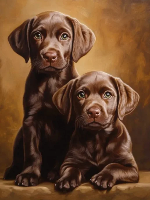 Бұлшық ет жігіттер порно фаготтар және түзу жігіттер Тікелей эфирде ресейліктердің әшкереленген порно видеолары