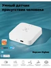 Интеллектуальный датчик присутствия радара Tuya ZigBee 24G Ihseno 366423379 купить за 1 067 ₽ в интернет‑магазине Wildberries