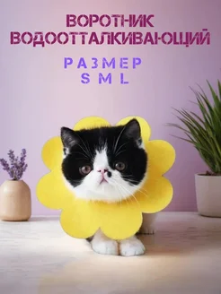Защитный мягкий воротник конус для кошек и собак ZVERMAG 366473170 купить за 213 ₽ в интернет‑магазине Wildberries