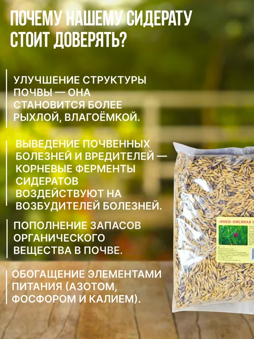 Зеленая планета Вика- Овес Сидерат 0.5 кг, 500 г, фото 4